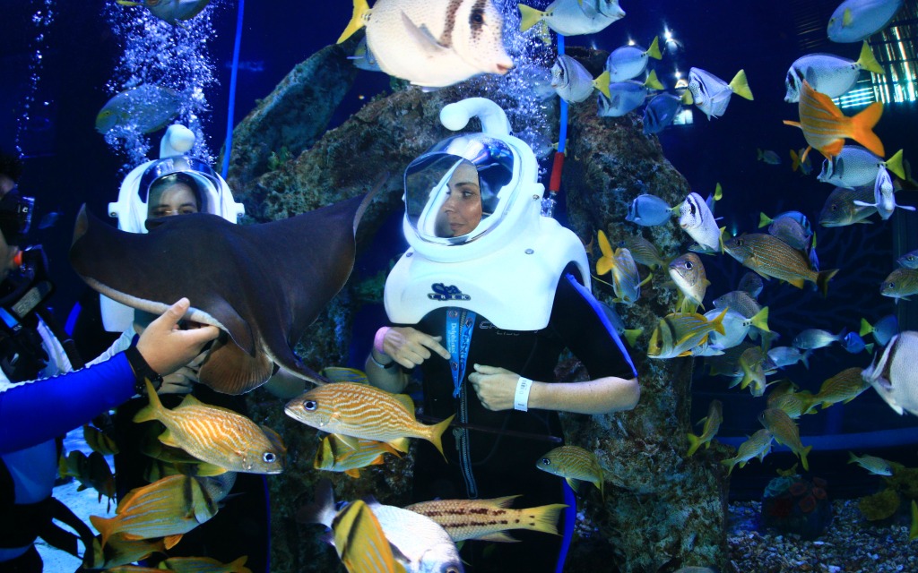 Sea Trek at Aquarium Cancun
