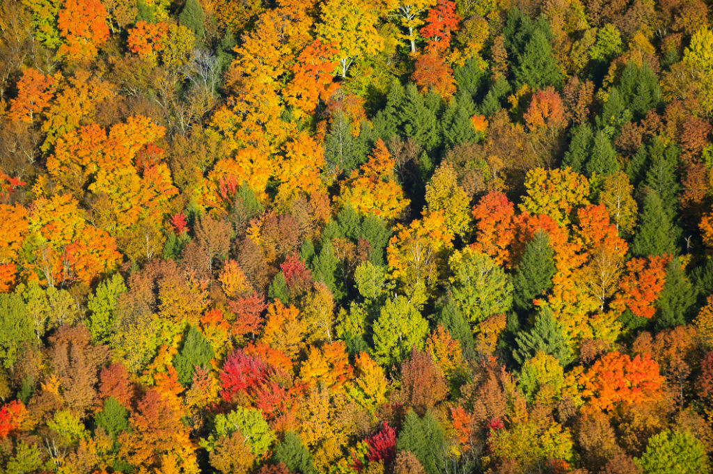 Vermont, autumn, fall colors