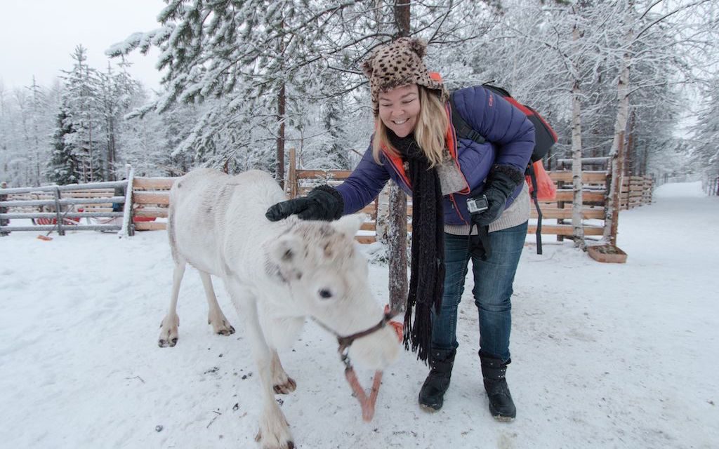 Best Christmas Destinations - Finland Reindeer
