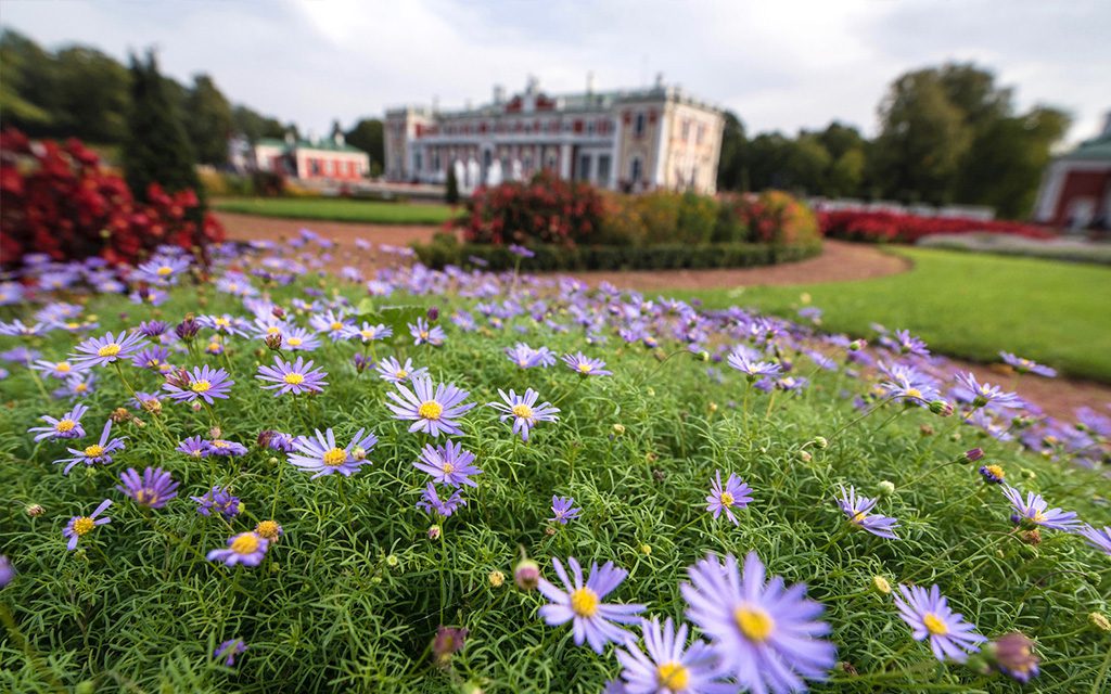 Kadriorg