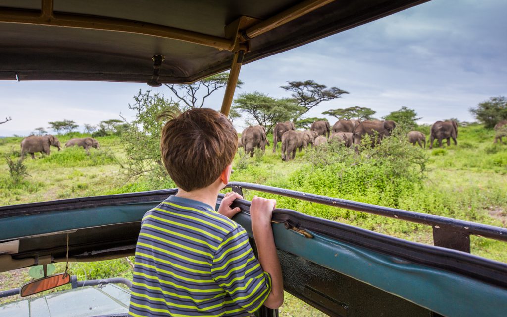 Safari tips - Elephants near Lake Ndutu