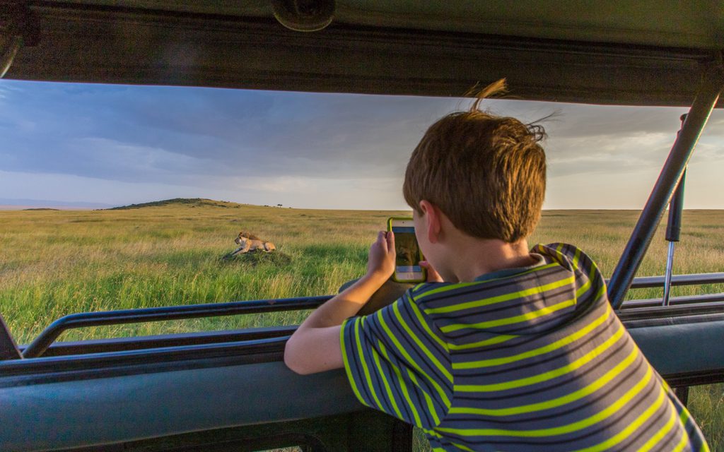 Safari tips - It was only my son and I on some of our game drives at the end, as my daughters opted out and my wife stayed with them. We had the lions to ourselves!