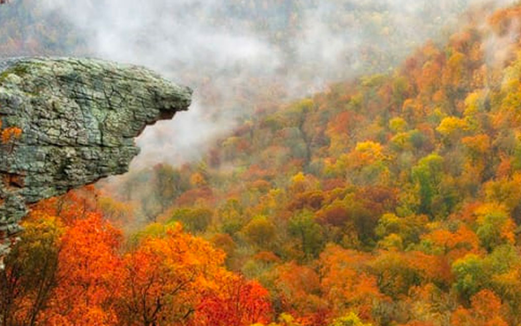 Upper Buffalo Wilderness in Arkansas