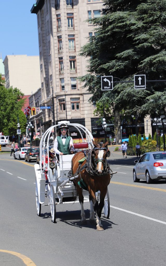 Being the capital of British Columbia, Victoria BC is a popular destination. Add in the incredible natural beauty of the region, the mildest temperatures in the entire country, and the increasingly popular foodie scene, and you've got a perfect vacation in the making.
