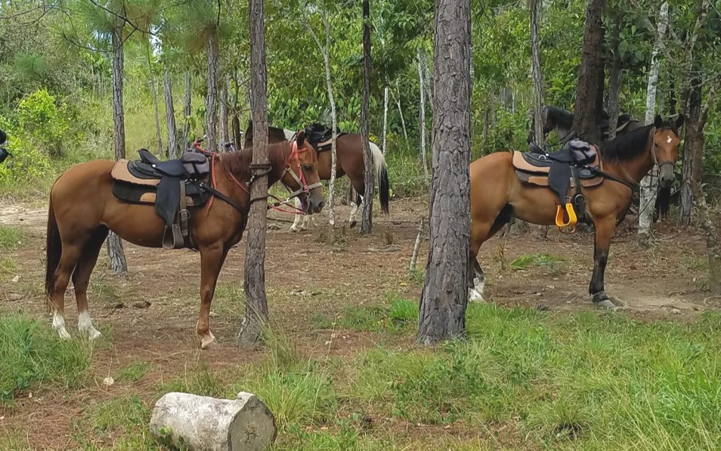 If you've been thinking about a Belize vacation, perhaps having a list of fun things to do will help you make a decision.