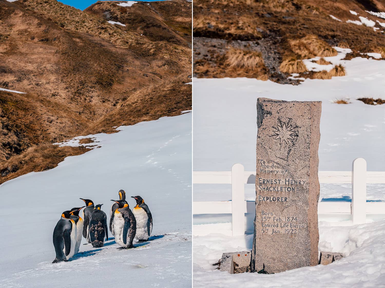 South Georgia Island - Sir Ernest Shackleton's Grave