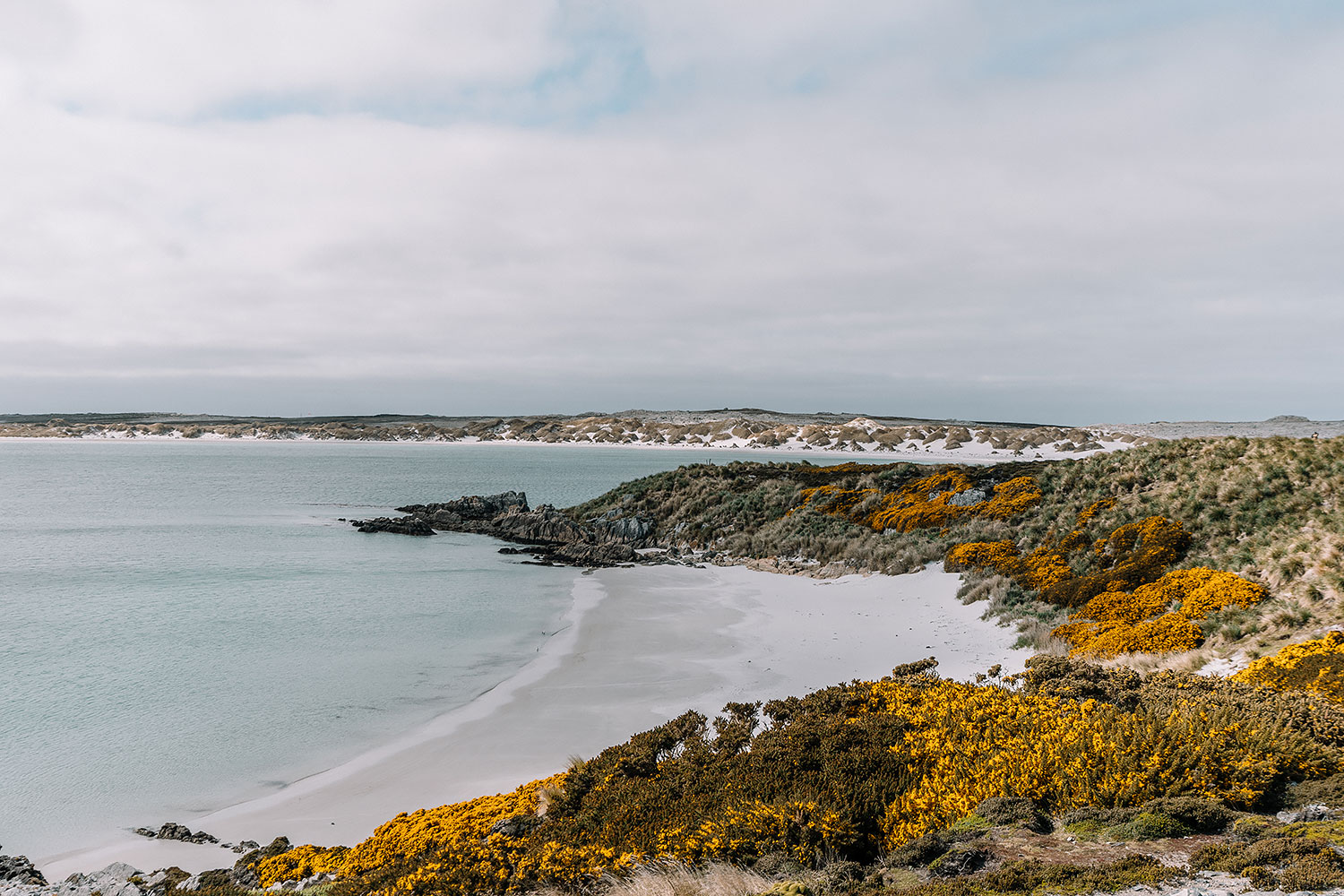 Falkland Islands Gypsy Cove