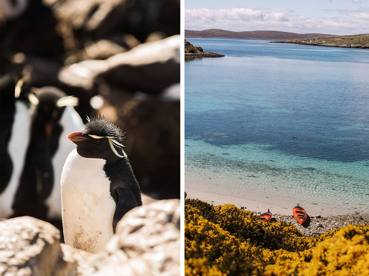 Falkland Islands West Point