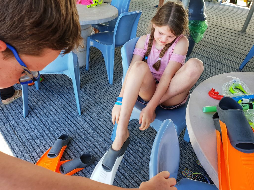 Great Barrier Reef With Kids - flipper ready