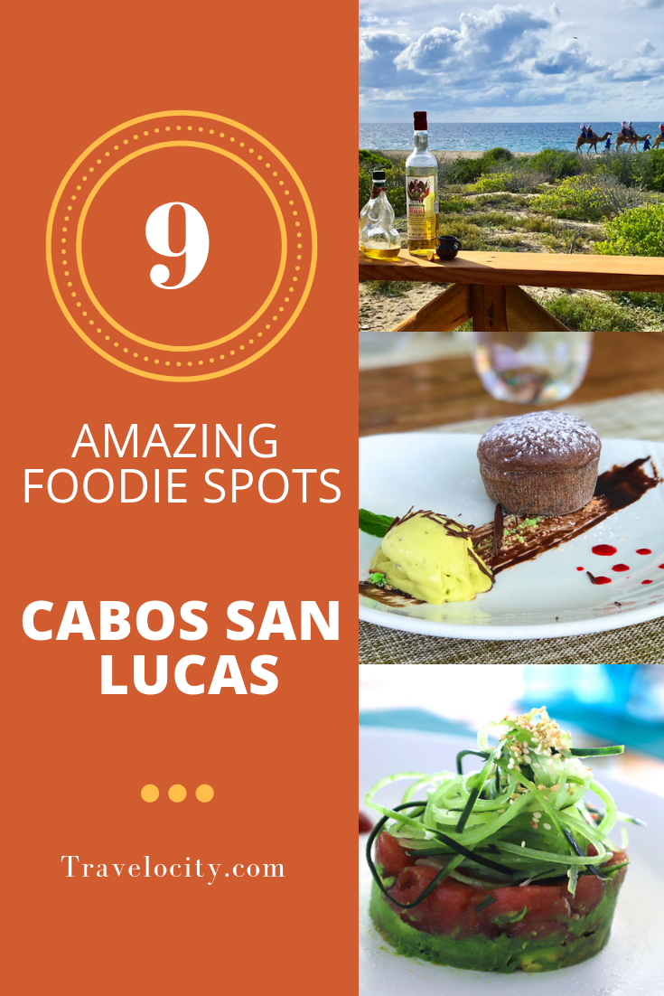 Everyone knows the west coast of Mexico is beautiful, but did you also know Cabo restaurants offer some of the best food in the world? This resort city boasting turquoise seas and white sand beaches is actually a&nbsp;gastronomic mecca, with incredibly fresh seafood and creative local ingredients.