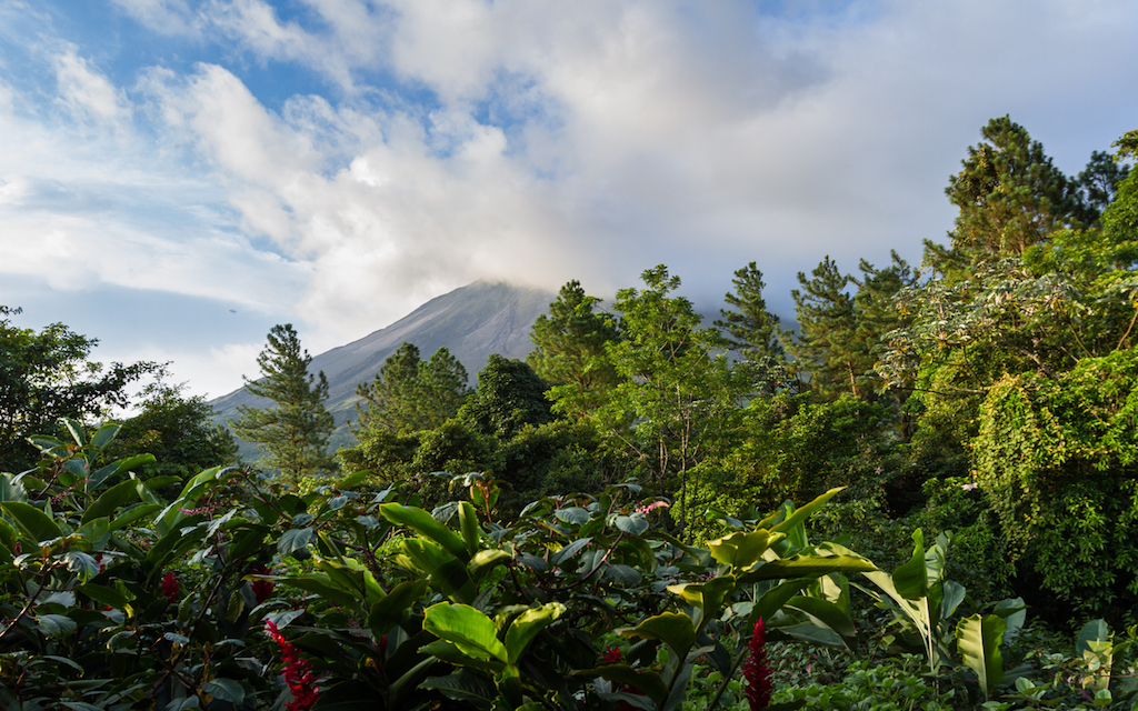 view of the Volcan Arenal in San carlos Costa Rica in the green season, a well know beautiful landmark