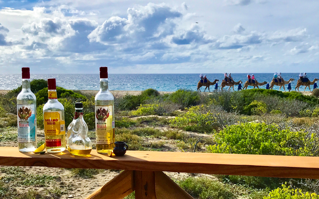 Everyone knows the west coast of Mexico is beautiful, but did you also know Cabo restaurants offer some of the best food in the world? This resort city boasting turquoise seas and white sand beaches is actually a gastronomic mecca, with incredibly fresh seafood and creative local ingredients.