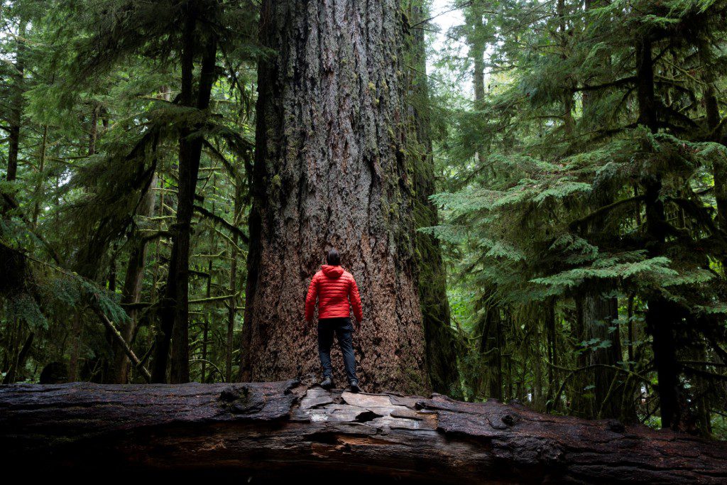 Vancouver Island, British Columbia, Canada