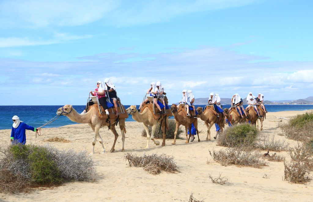 3 Best Beach Adventures In Cabo