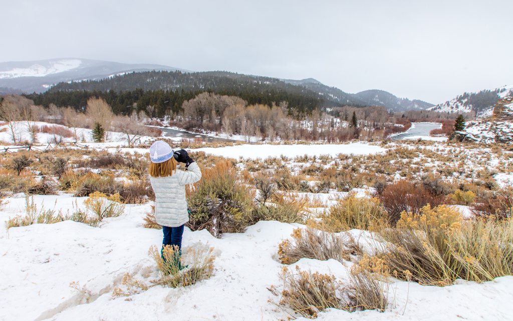 Where to travel in 2019 - Scanning for animals on a Jackson Hole wildlife safari