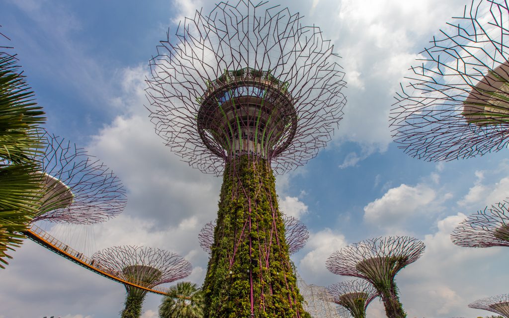 Where to travel in 2019 - Singapore's Gardens by the Bay