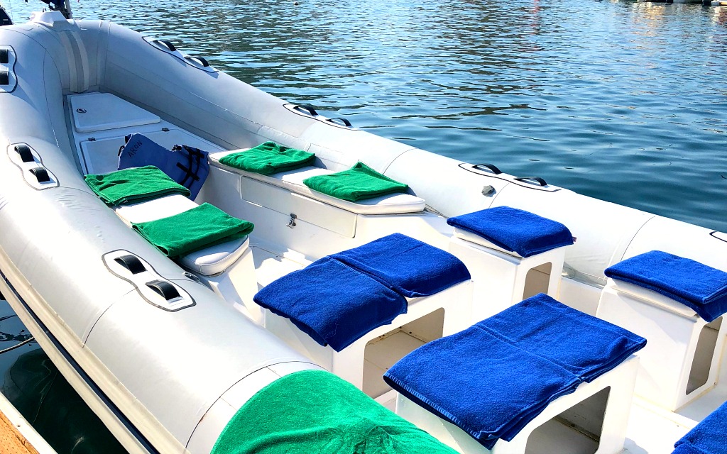 Cabo Adventures snorkeling - Travelocity.com