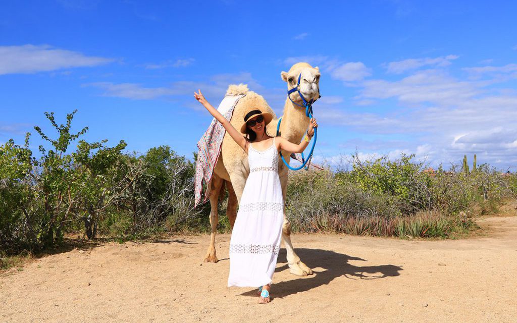 camel-riding-in-cabo-mexico