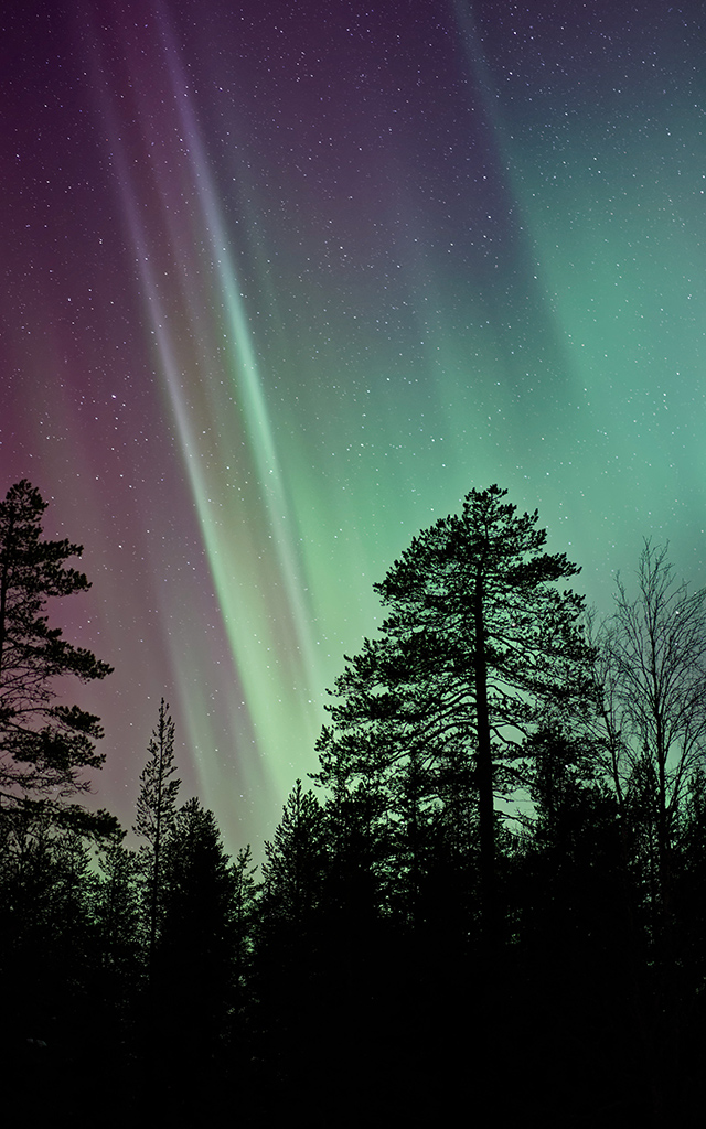 See the Northern Lights