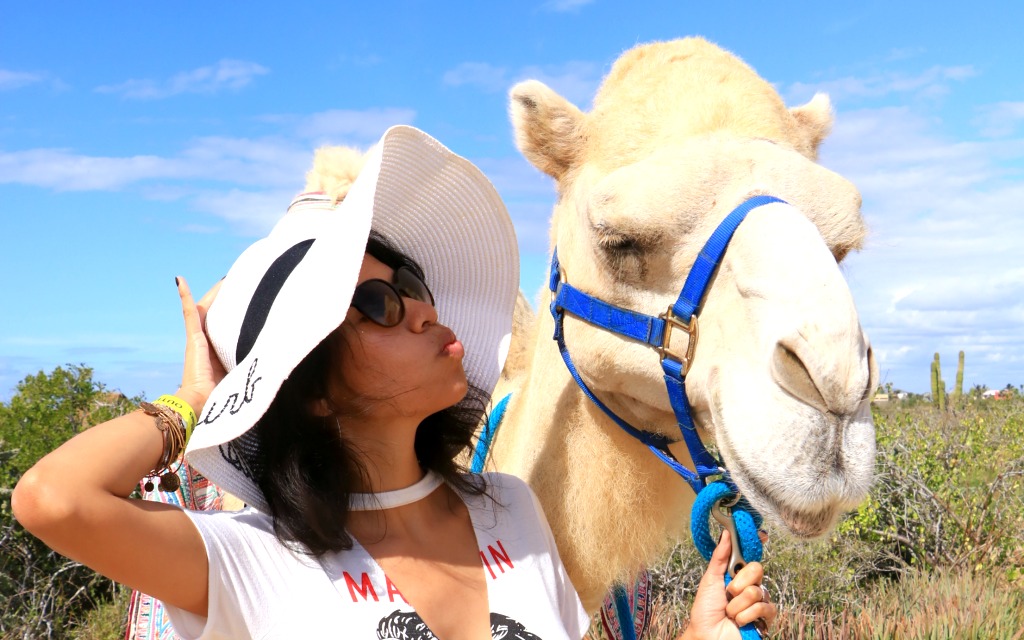 meeting the kissing camel - travelocity.com - #loscabos