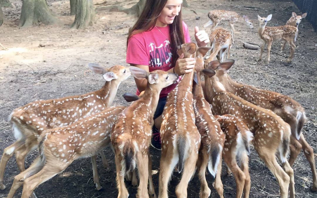How to Plan a Vacation for a Cause