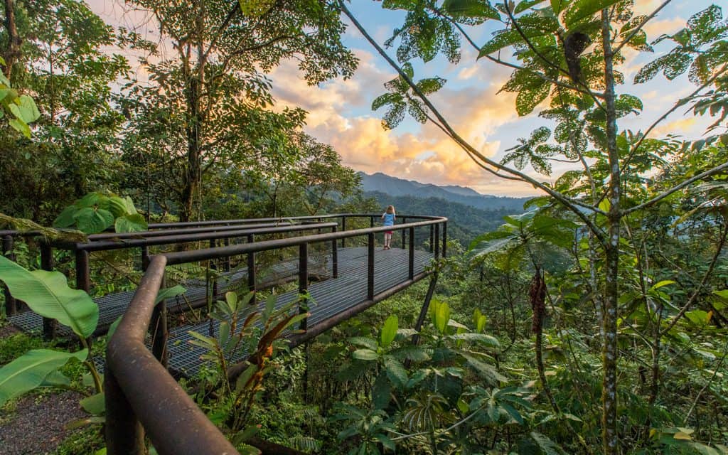 South America - Ecuador's Mashpi Lodge