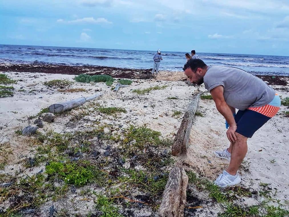Volunteering on vacation - Watching turtles