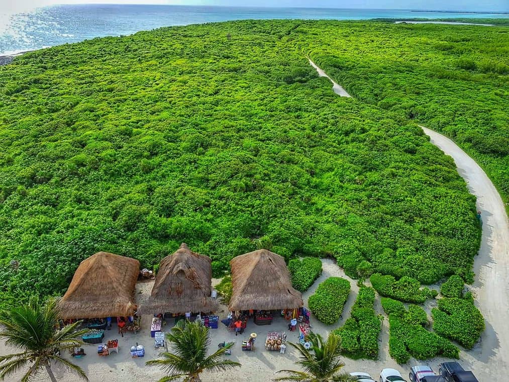 Volunteering on vacation - Punta Sur