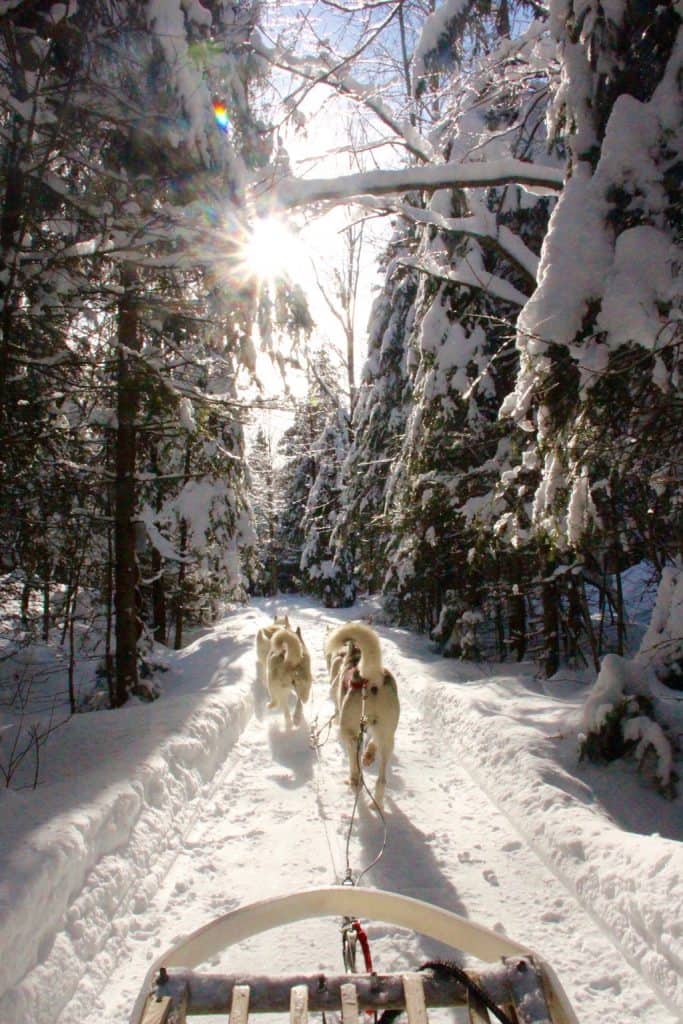 #QuebecCity, #CanadaTravel, #FamilyTravel