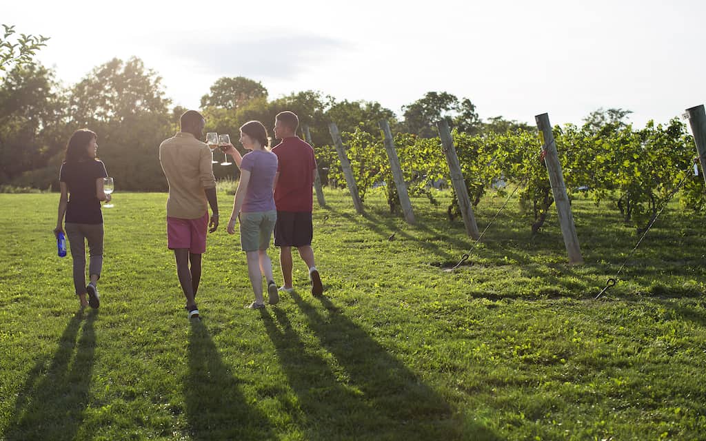 Niagara Wine Trail in Niagara Falls USA
