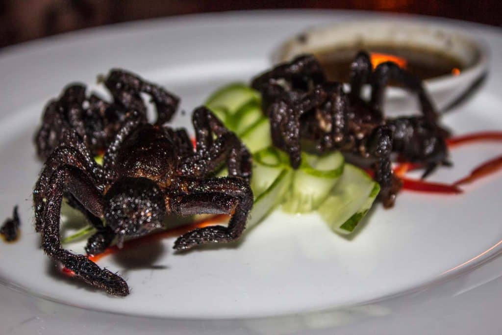Things To Do In Cambodia - Eat spiders