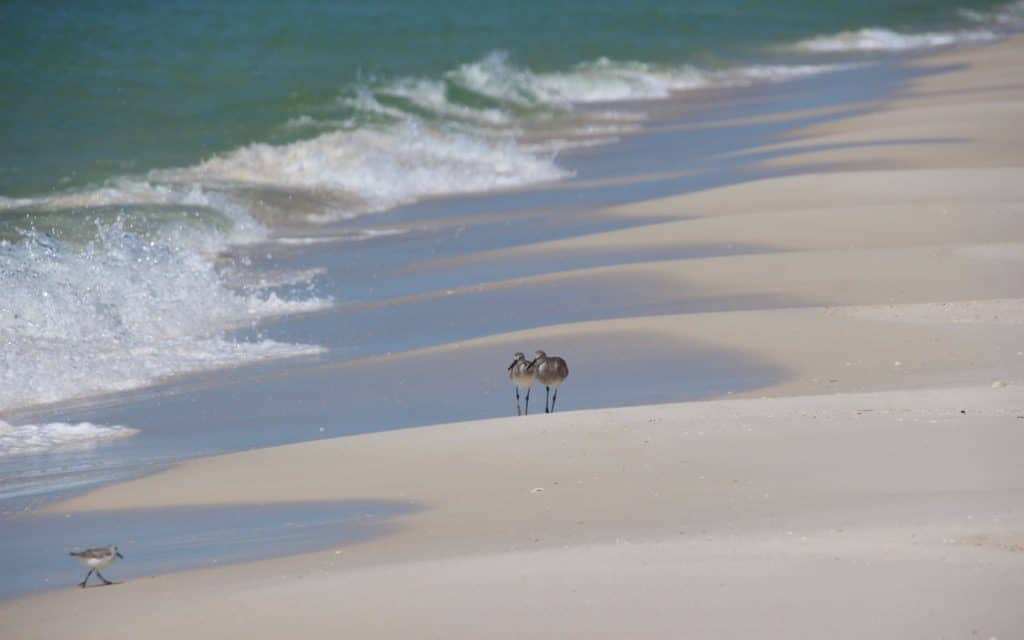 Panama City Beach, Panama City Beach Hotels