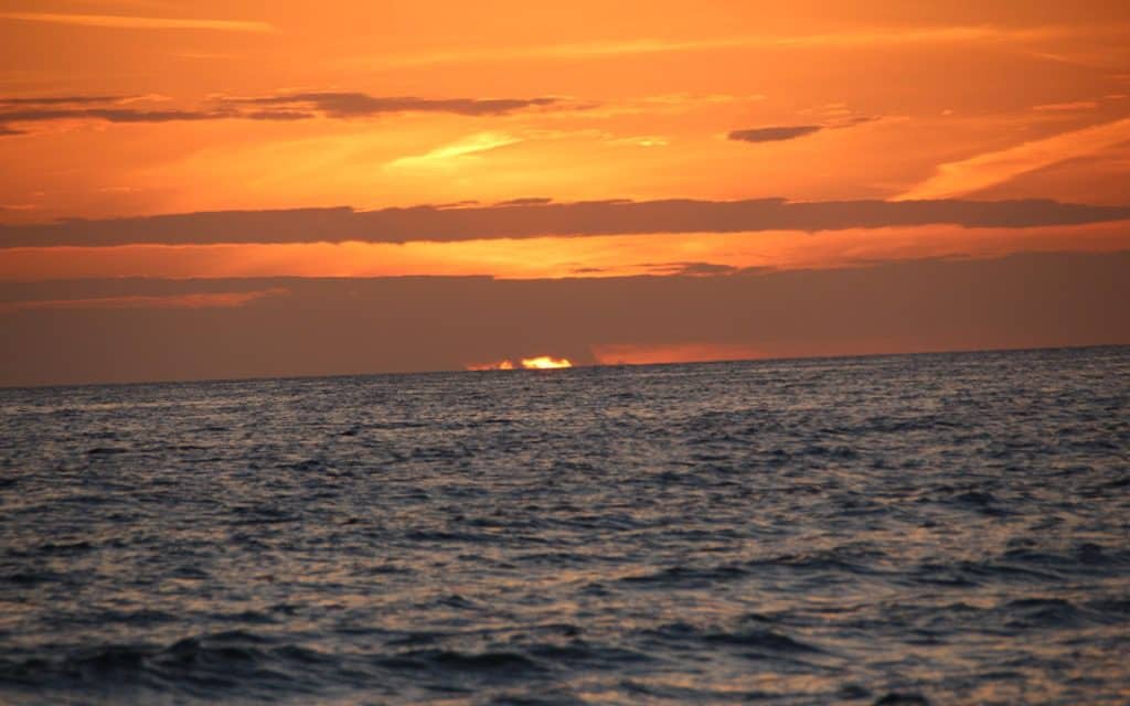 Panama City Beach, Panama City Beach Hotels