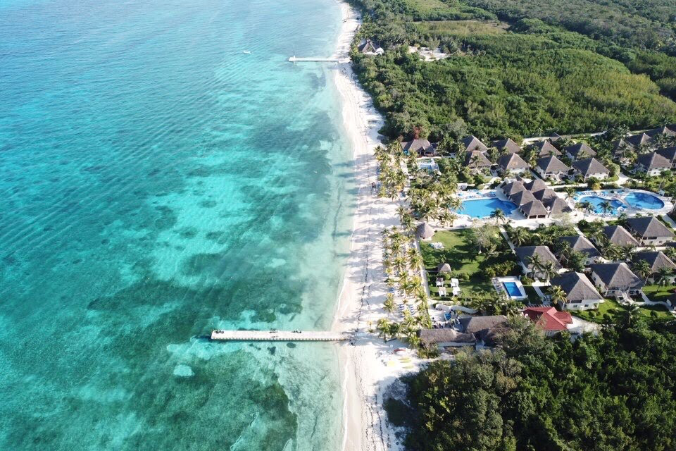 7 Easy Ways to Volunteer in Cancun on a Budget