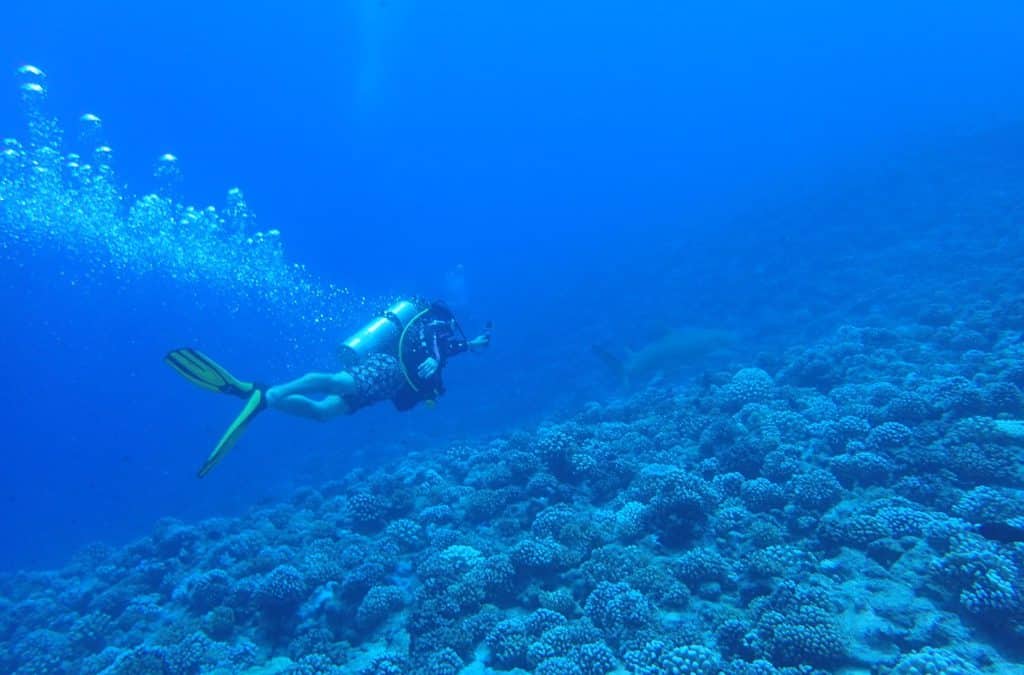 Scuba Diving in French Polynesia
