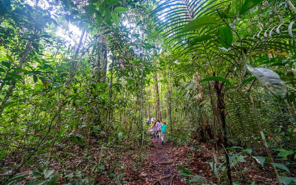 Best adventure destinations - Hiking through the Amazon Rainforest
