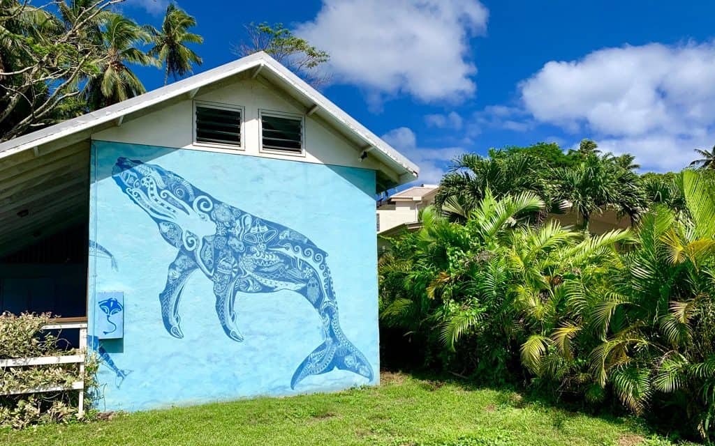 Adventurous Tours in the Cook Islands