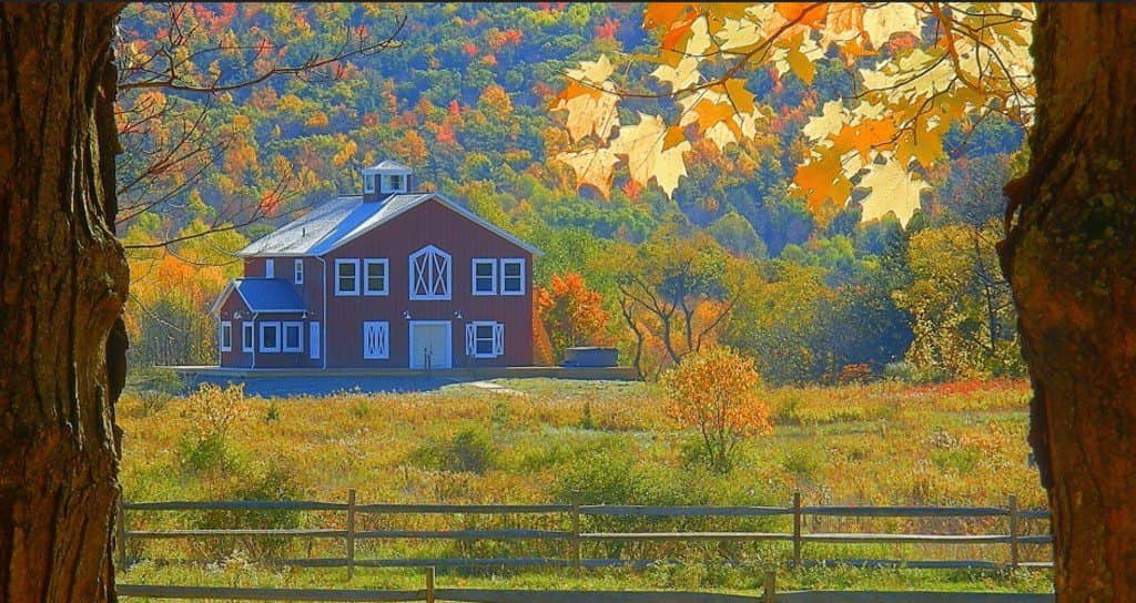 Finger Lakes, ranch, New York