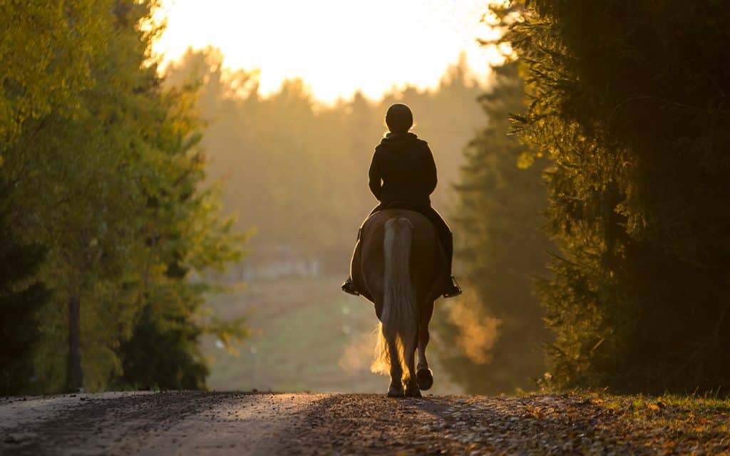 horseback riding