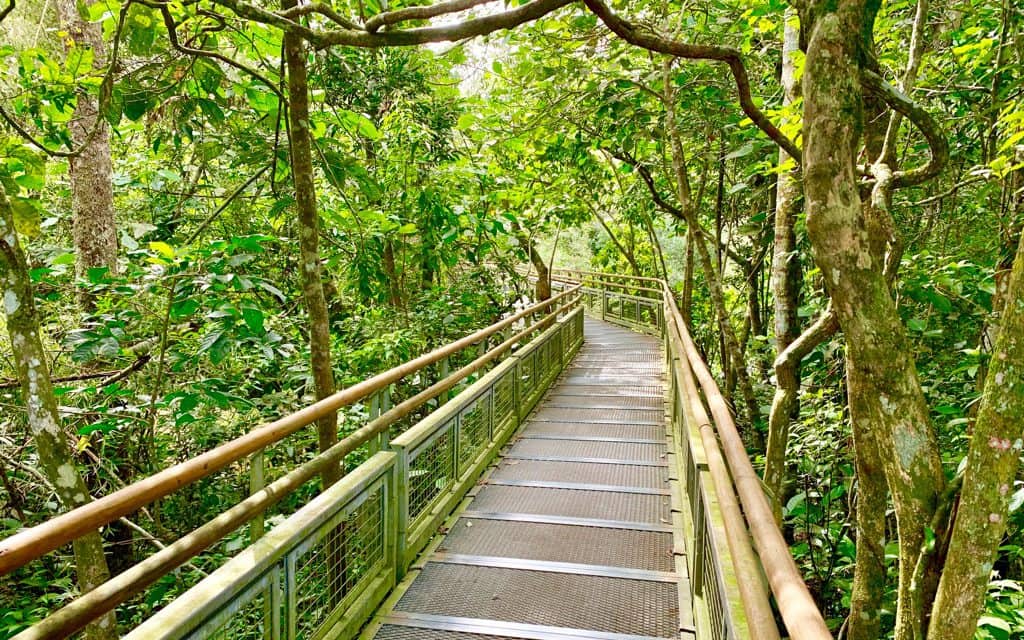 Iguazu Falls Argentina, Iguazu waterfalls