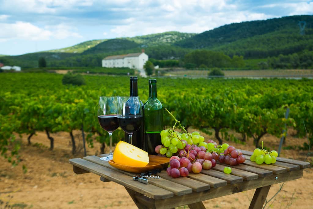 Red wine bottles and glasses on wooden table with cheese and grapes overlooking vineyard