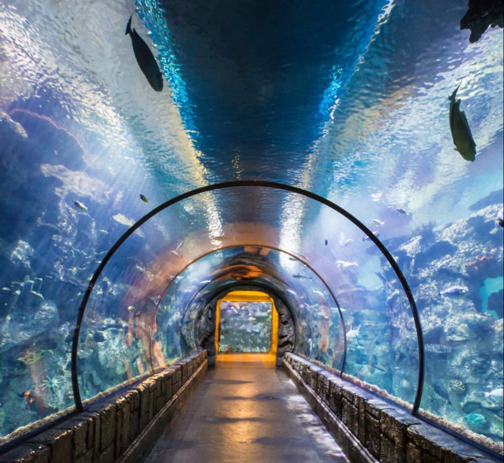 Downtown Dallas attractions