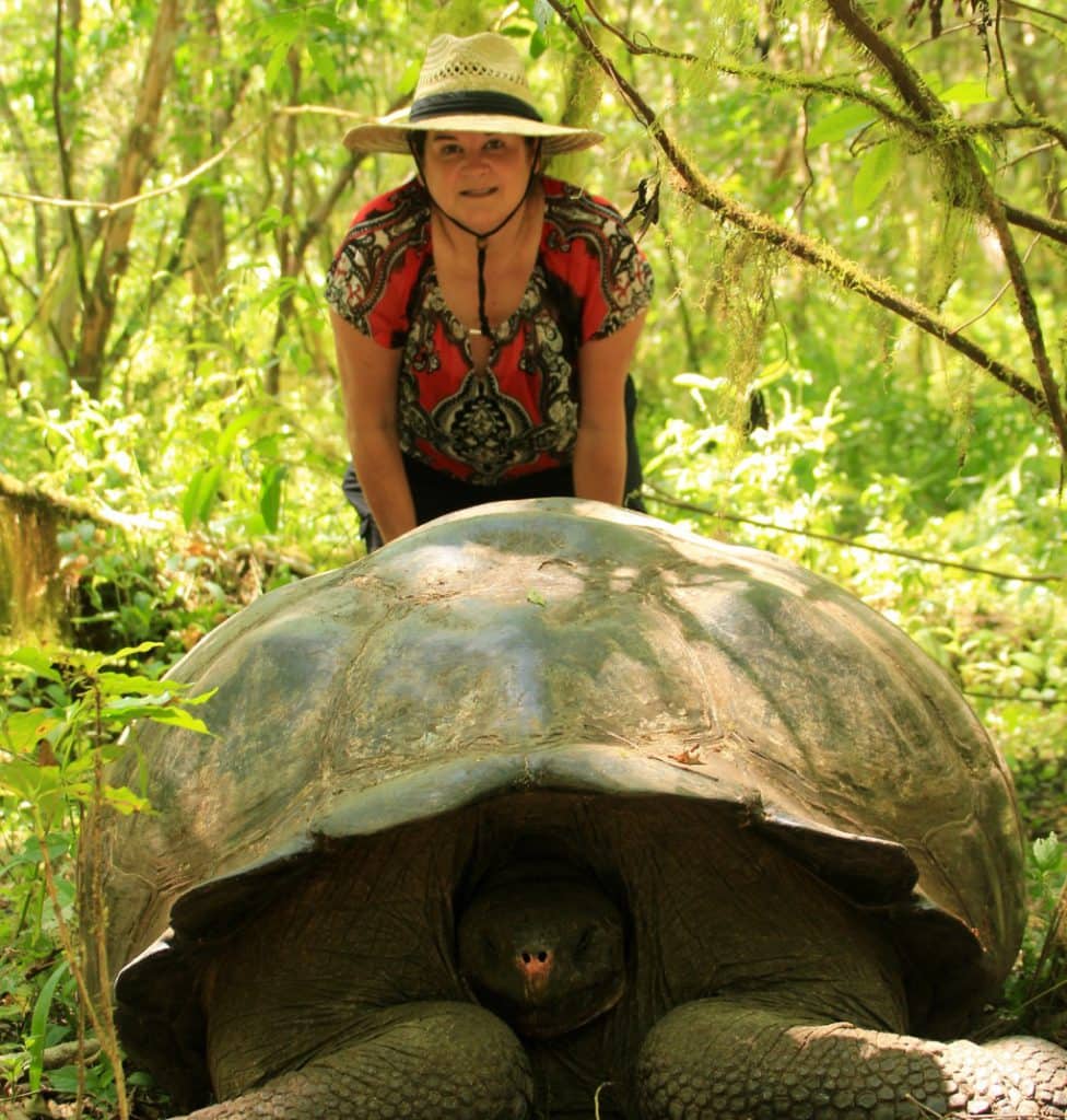National Wildlife Day