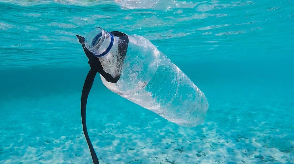 Check out these 6 Easy Ways to Participate in a Beach Clean Up. If we all do our part, we really can make a difference and protect our planet.