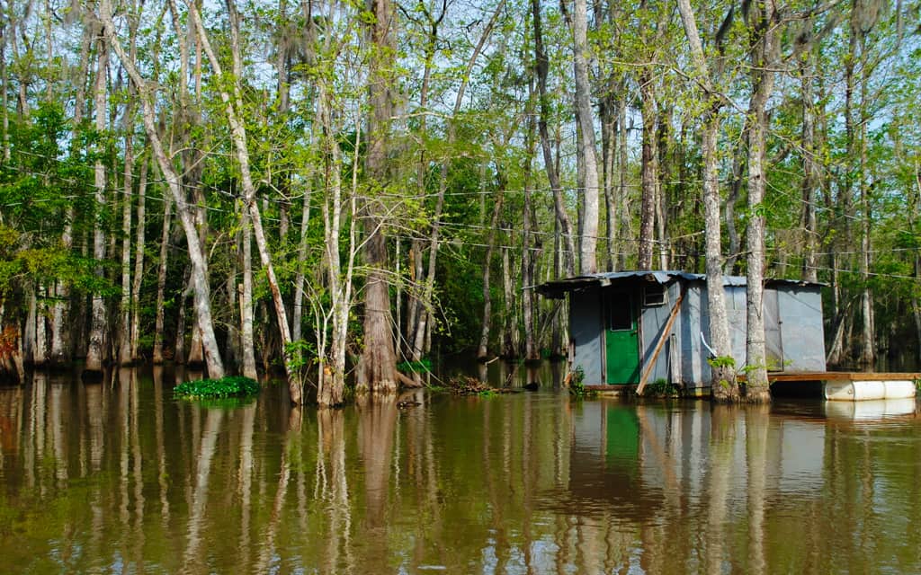 New Orleans Swamp Tours