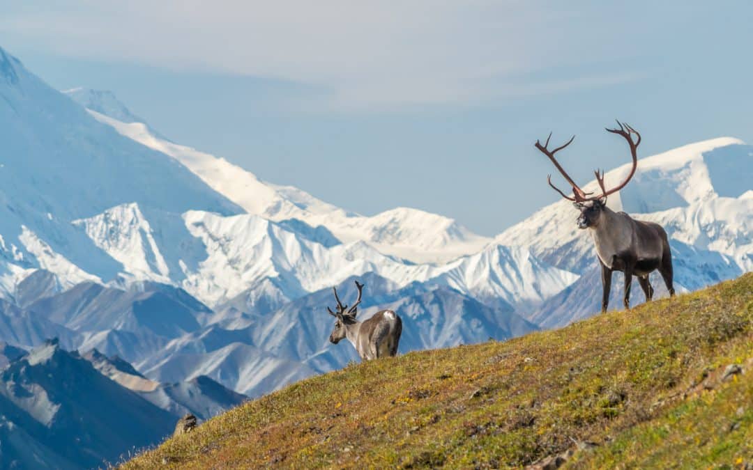 How to spend one perfect week in Alaska