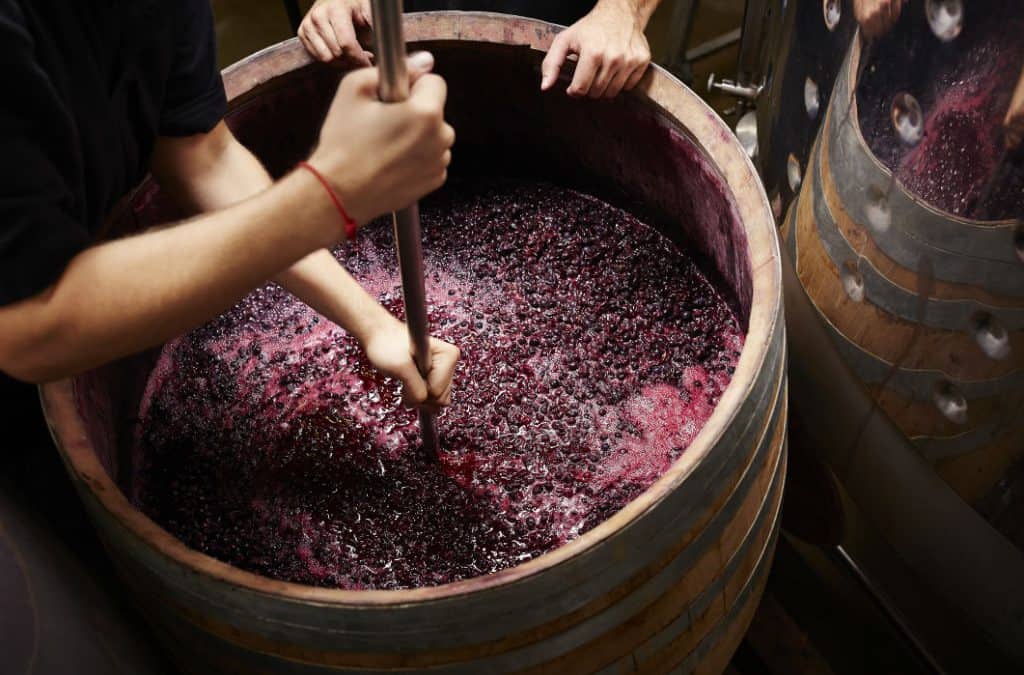 5 vineyards that make for great wine country volunteer vacations