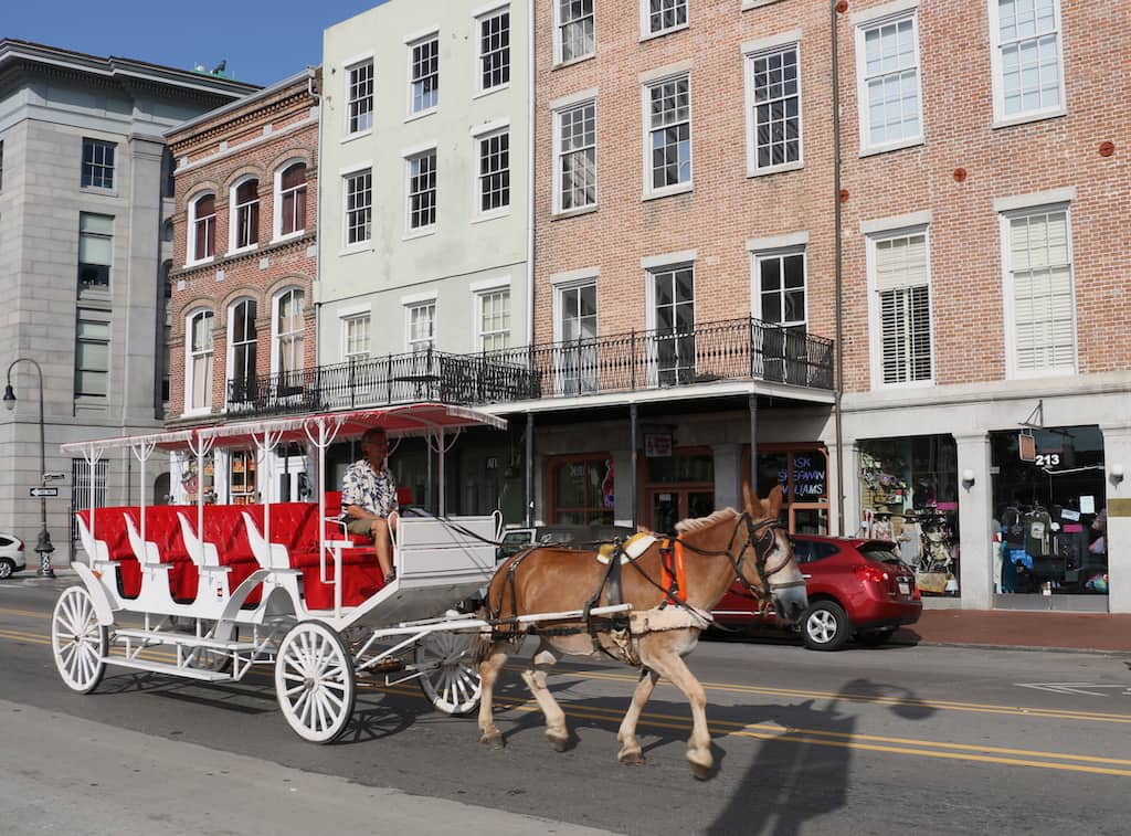 Horse drawn ride in NOLA by MikesRoadTrip.com