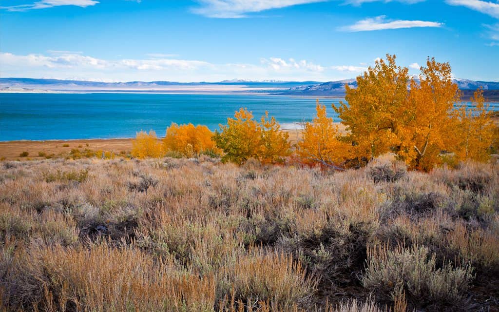 mono lake