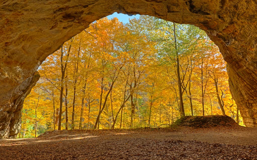 Top fall foliage destinations around the US